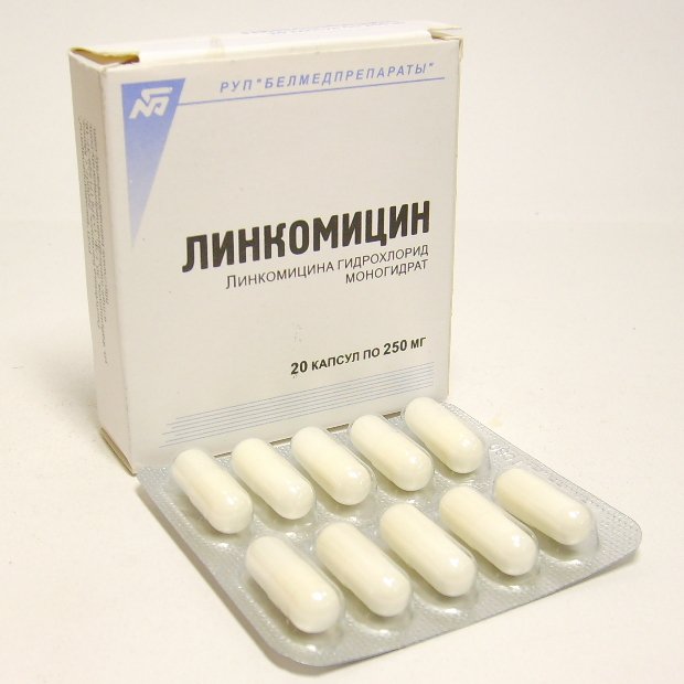 Линкомицина гидрохлорид (капсулы, 20 шт, 250 мг) - цена,  онлайн .