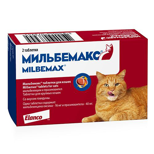 Фото мильбемакс для котят