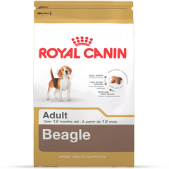 Корм для собак ROYAL CANIN Beagle для породы Бигль старше 12 месяцев сух.