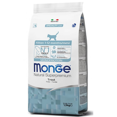 Monge Cat Monoprotein