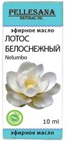 Пеллесана